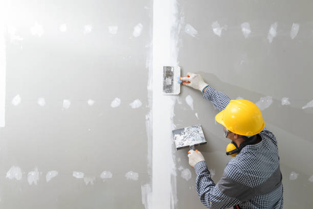 Best Crawl Space Mold Remediation  in Central Falls, RI