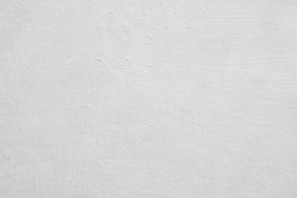 Best Mold Damage Restoration  in Central Falls, RI